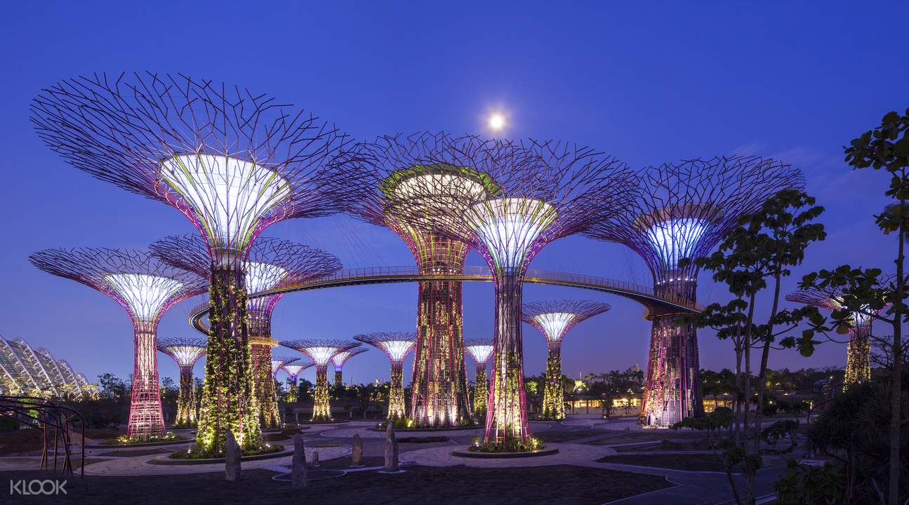 Gardens by the Bay & OCBC Skyway Tickets - Klook